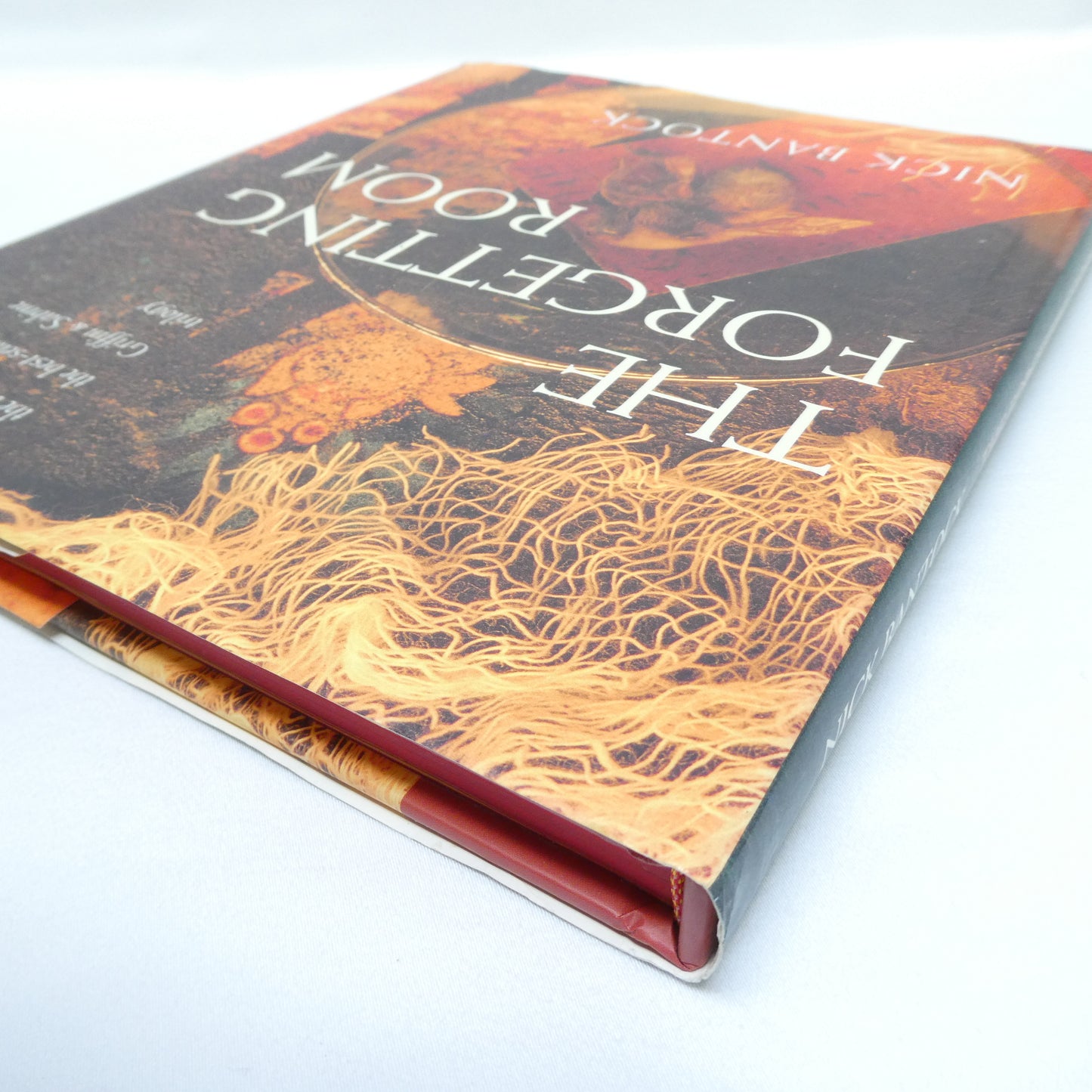 THE FORGETTING ROOM, A Fiction Book by Nick Bantock (1st Ed. SIGNED)