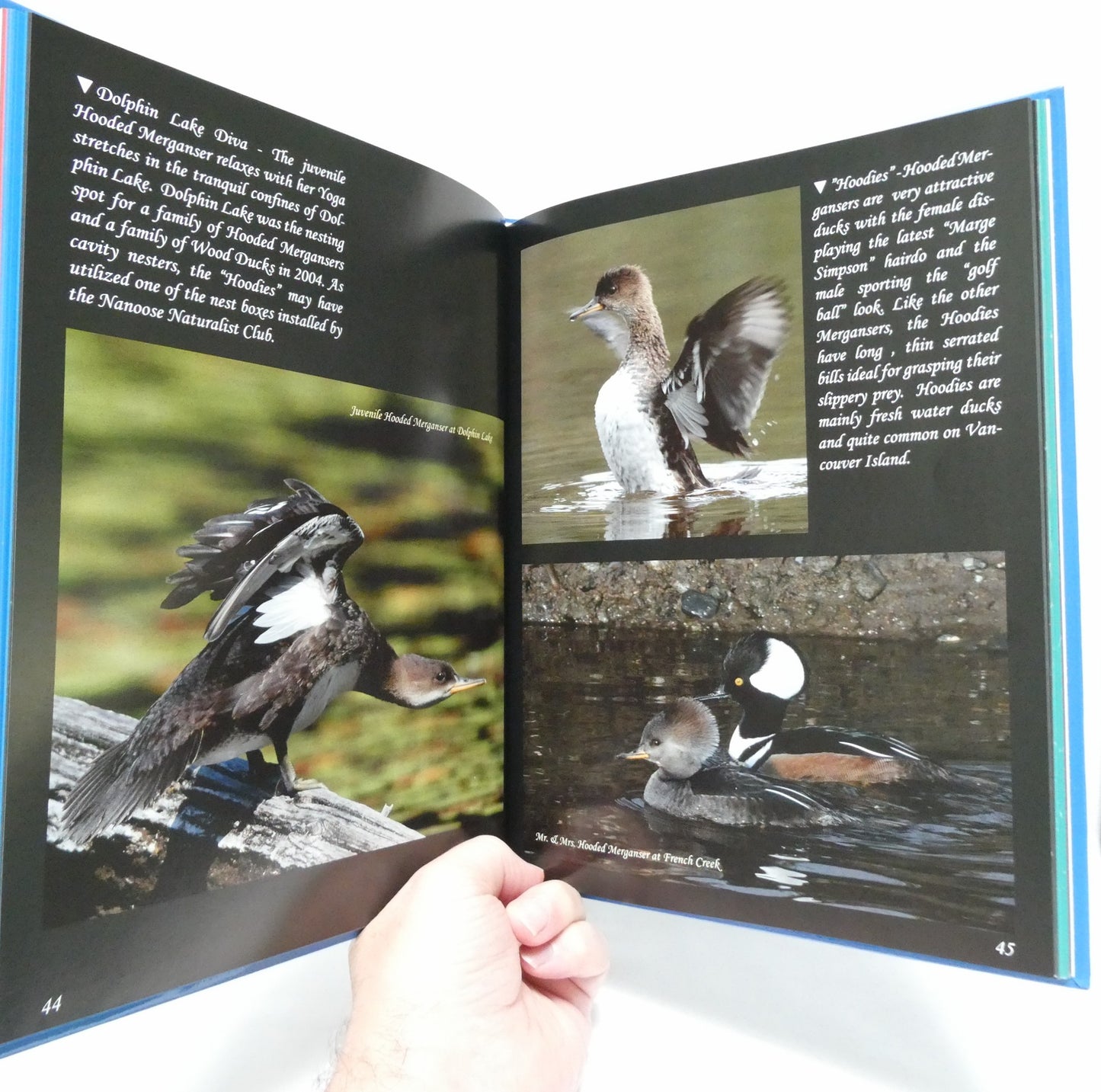VANCOUVER ISLAND BIRDS Volume 1, by Mike Yip. PLUS FREE BONUS Volume 3 (1st Ed. SIGNED)
