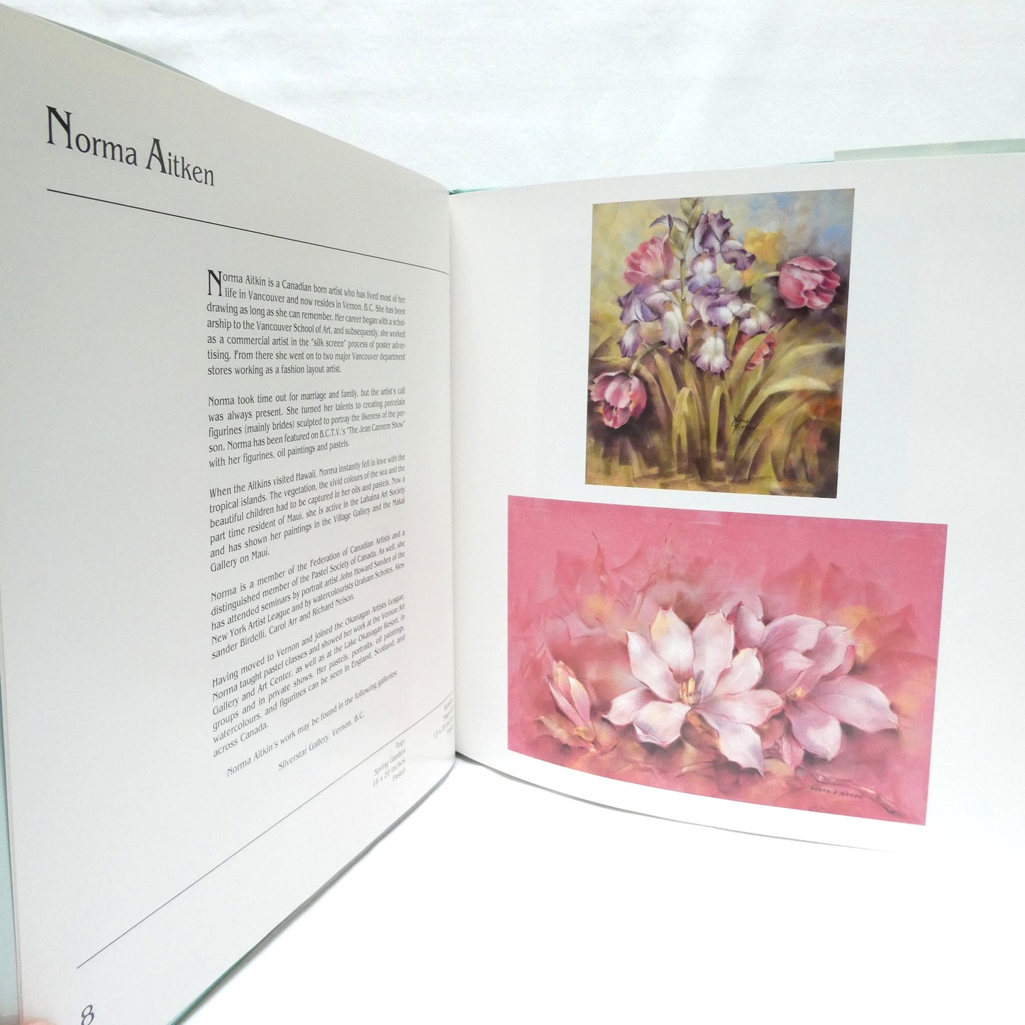 BRUSHES IN THE SUN, The Collector's Edition of Artists From The Okanagan and Surrounding Area (1st Ed. SIGNED)