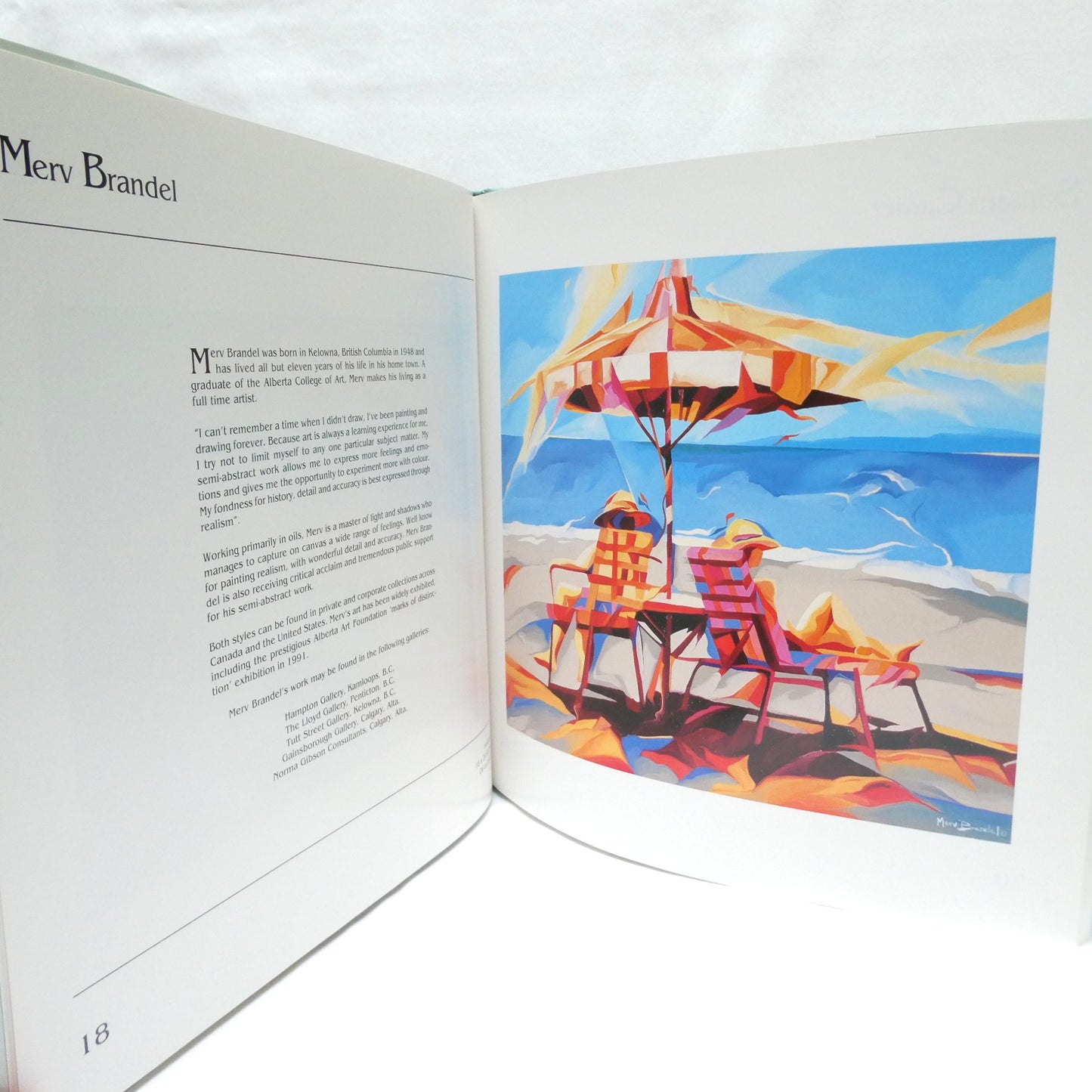 BRUSHES IN THE SUN, The Collector's Edition of Artists From The Okanagan and Surrounding Area (1st Ed. SIGNED)