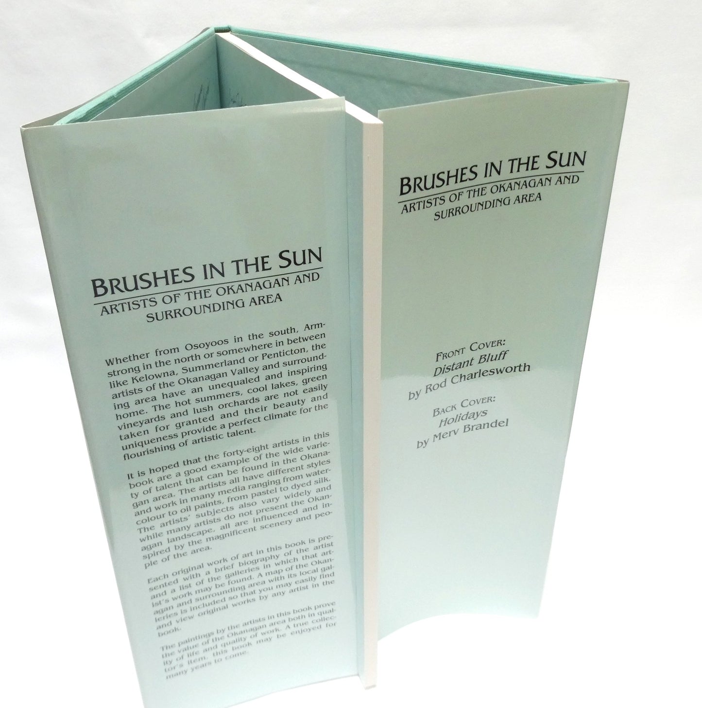 BRUSHES IN THE SUN, The Collector's Edition of Artists From The Okanagan and Surrounding Area (1st Ed. SIGNED)