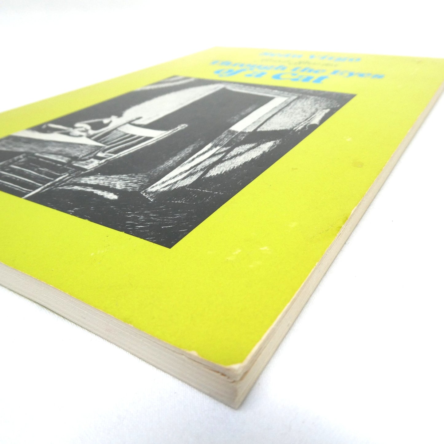 THROUGH THE EYES OF A CAT, IRISH STORIES by Seán Virgo (1983 1st Ed.)