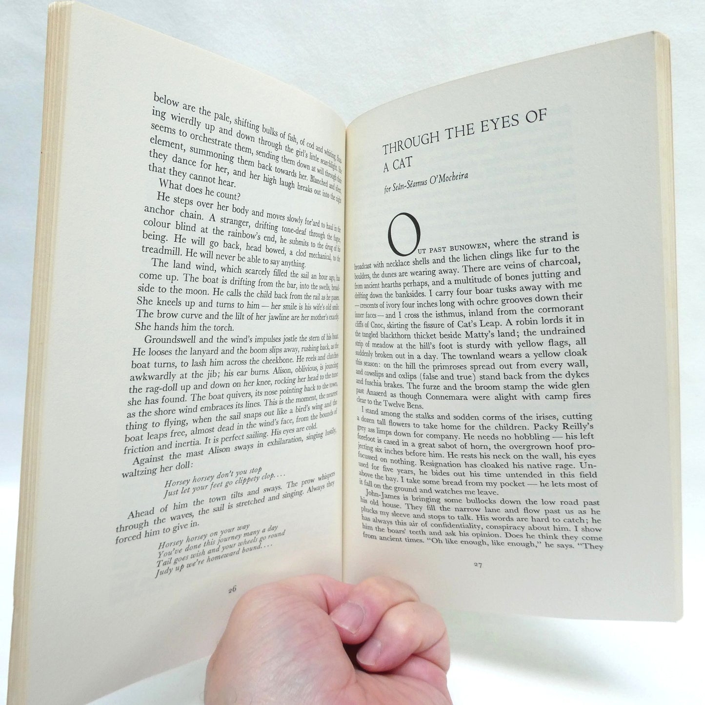 THROUGH THE EYES OF A CAT, IRISH STORIES by Seán Virgo (1983 1st Ed.)