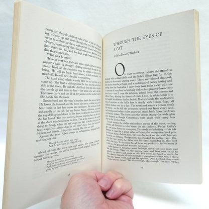 THROUGH THE EYES OF A CAT, IRISH STORIES by Seán Virgo (1983 1st Ed.)