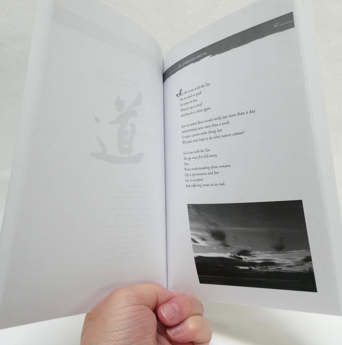 SOMETHING TO PONDER, Reflections From Lao Tzu's "Tao Te Ching", by Colin D. Mallard, Ph.D., 2012