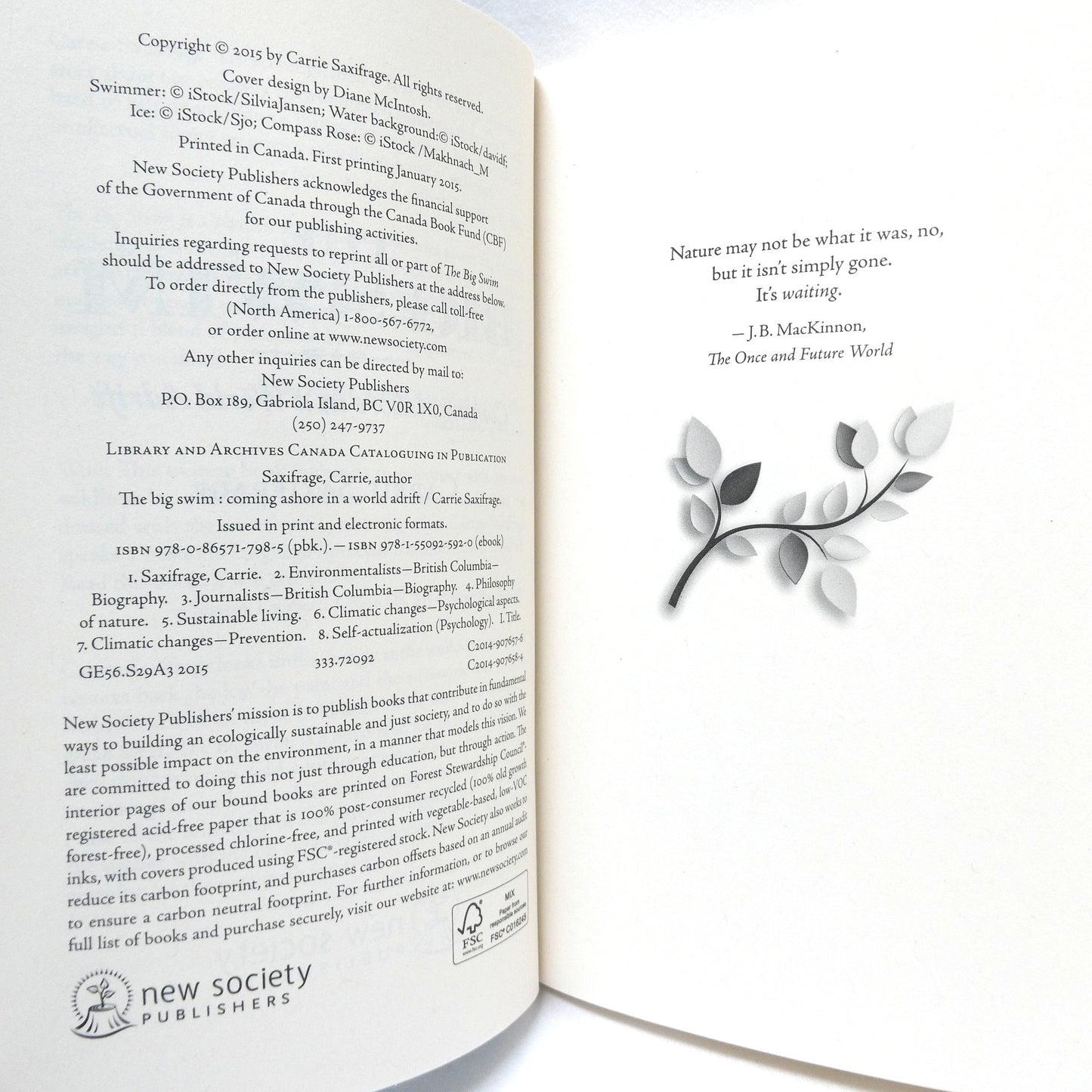 THE BIG SWIM, Coming Ashore in a World Adrift, by Carrie Saxifrage (2015 1st Ed.)