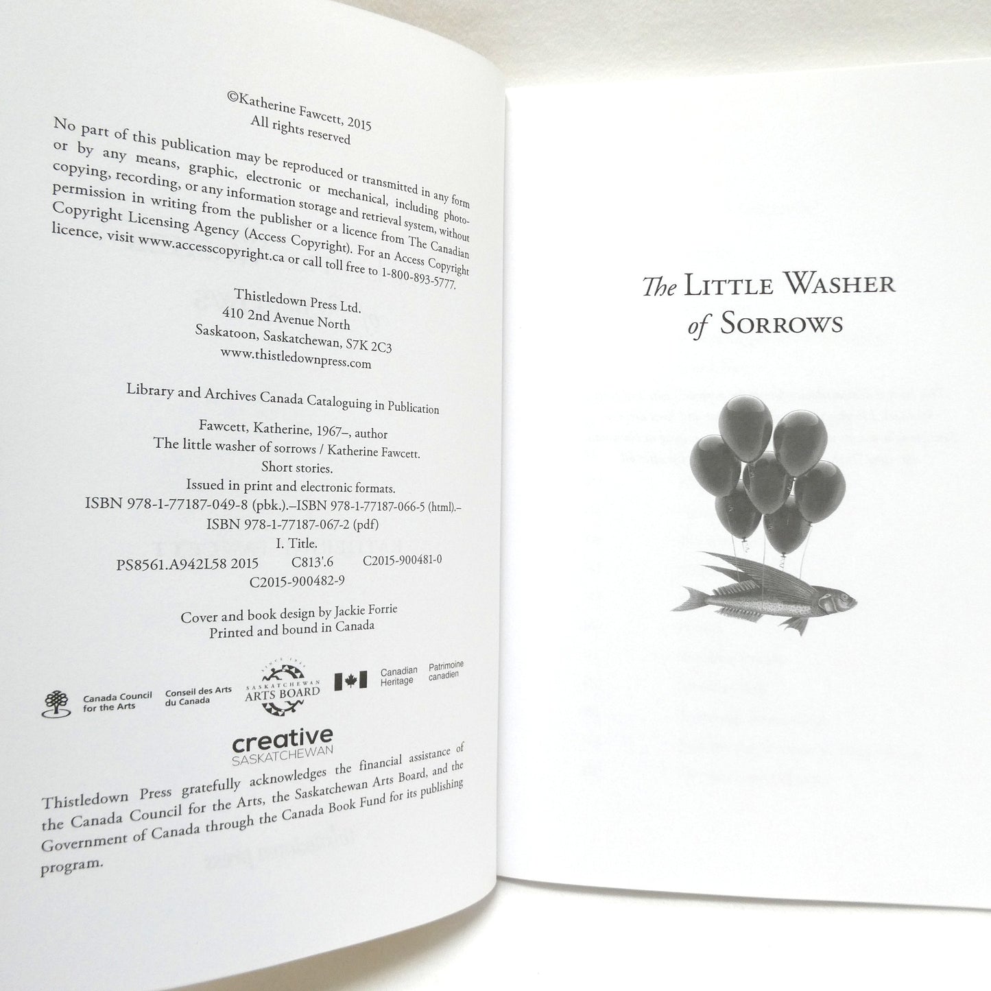 THE LITTLE WASHER OF SORROWS, Short Stories by Katherine Fawcett (2015 1st Ed.)