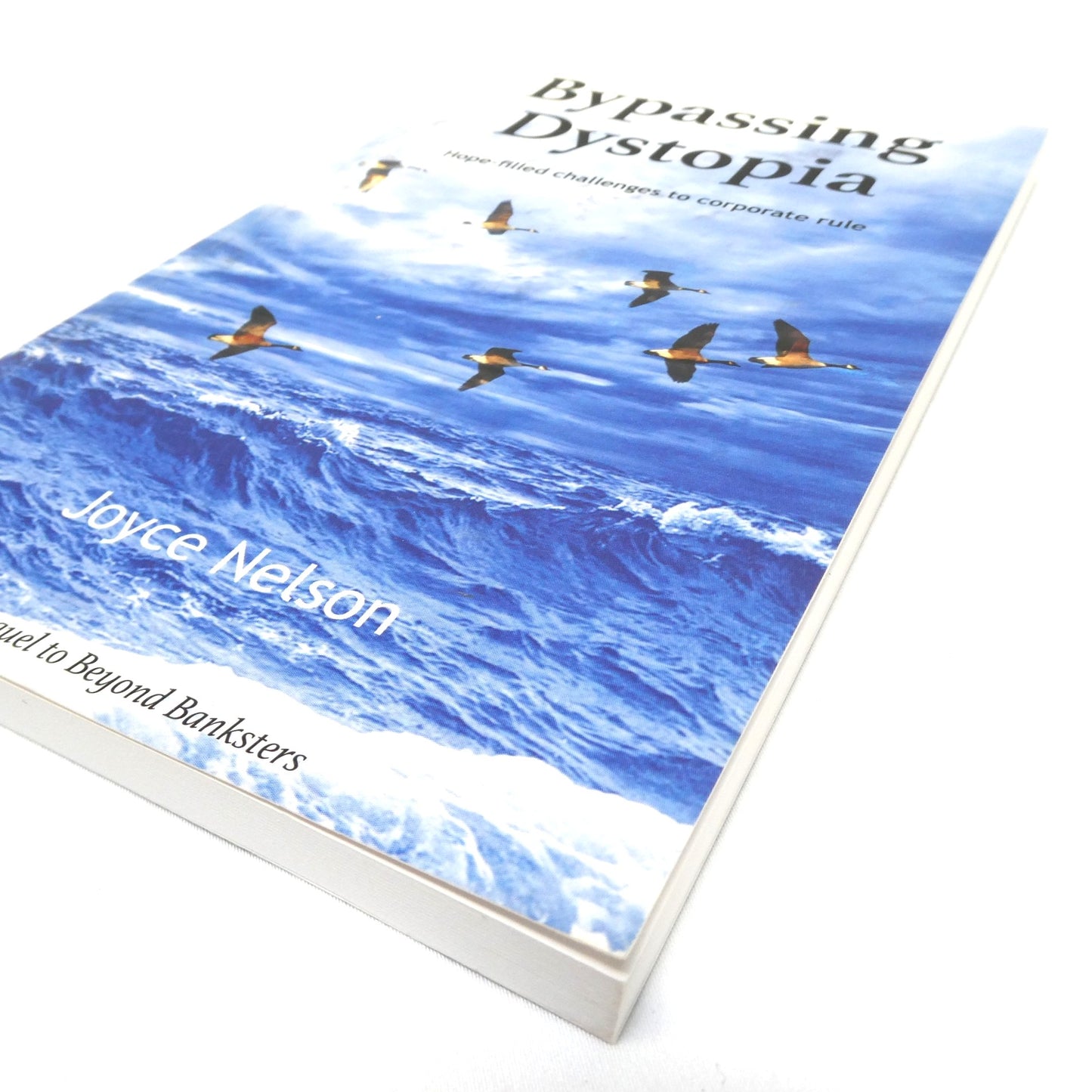 BYPASSING DYSTOPIA, Hope-Filled Challenges to Corporate Rule, by Joyce Nelson (2018 1st Ed.)