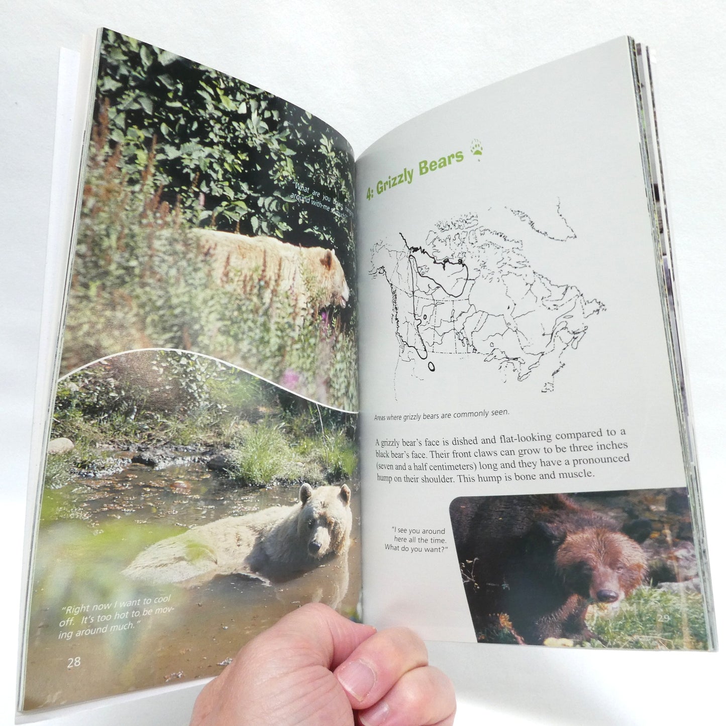 COASTAL BEARS, by "The Bear Man" Keith Scott (2006 1st Ed.)