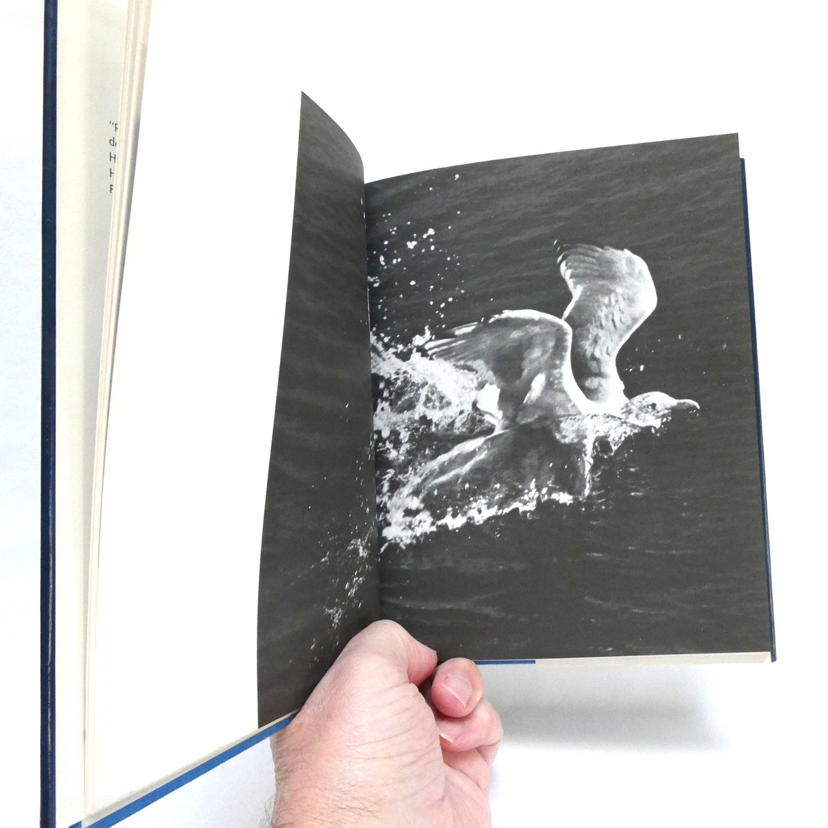 JONATHAN LIVINGSTON SEAGULL, by Richard Bach, and Photo-Illustrated by Russell Munson (1970 1st Ed.)