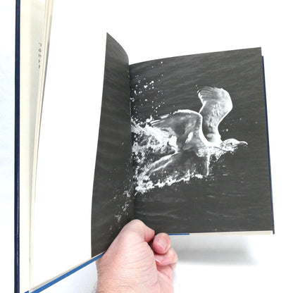 JONATHAN LIVINGSTON SEAGULL, by Richard Bach, and Photo-Illustrated by Russell Munson (1970 1st Ed.)