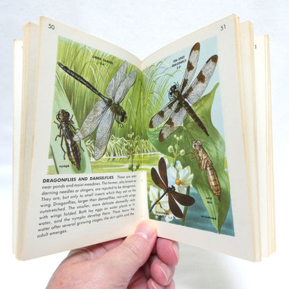 GOLDEN NATURE GUIDES: Mid-Century Pocket Reference Books on INSECTS, BIRDS, TREES, FLOWERS or REPTILES and AMPHIBIANS, Priced Individually!