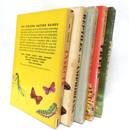 GOLDEN NATURE GUIDES: Mid-Century Pocket Reference Books on INSECTS, BIRDS, TREES, FLOWERS or REPTILES and AMPHIBIANS, Priced Individually!