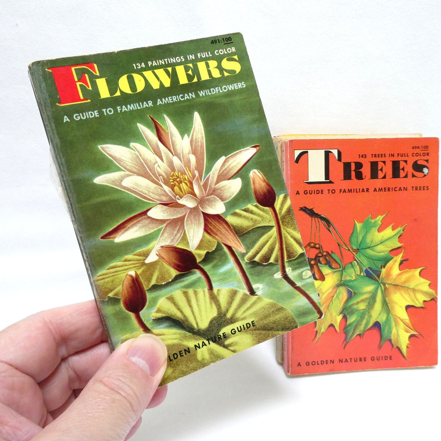 GOLDEN NATURE GUIDES: Mid-Century Pocket Reference Books on INSECTS, BIRDS, TREES, FLOWERS or REPTILES and AMPHIBIANS, Priced Individually!