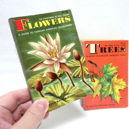 GOLDEN NATURE GUIDES: Mid-Century Pocket Reference Books on INSECTS, BIRDS, TREES, FLOWERS or REPTILES and AMPHIBIANS, Priced Individually!