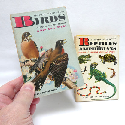 GOLDEN NATURE GUIDES: Mid-Century Pocket Reference Books on INSECTS, BIRDS, TREES, FLOWERS or REPTILES and AMPHIBIANS, Priced Individually!
