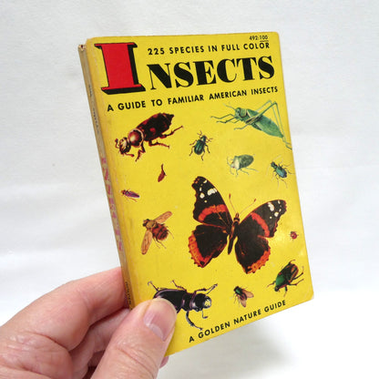 GOLDEN NATURE GUIDES: Mid-Century Pocket Reference Books on INSECTS, BIRDS, TREES, FLOWERS or REPTILES and AMPHIBIANS, Priced Individually!