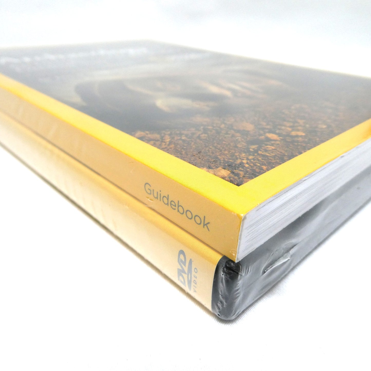 THE GREAT COURSES by NATIONAL GEOGRAPHIC: Archaeology: An Introduction to the World's Greatest Sites by Dr. Eric H. Cline, 2016