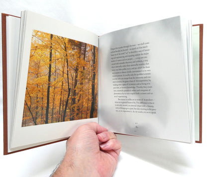 THE TREE, An Essay by John Fowles, Photography by William Neill (1994 1st Ed.)