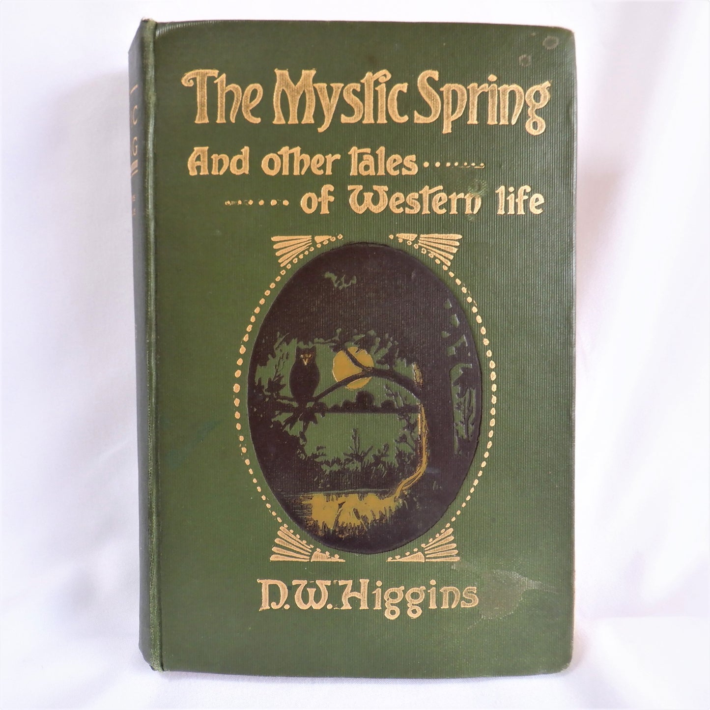 THE MYSTIC SPRING, and Other Tales of Western Life, by D.W. Higgins (1904 1st Ed.)