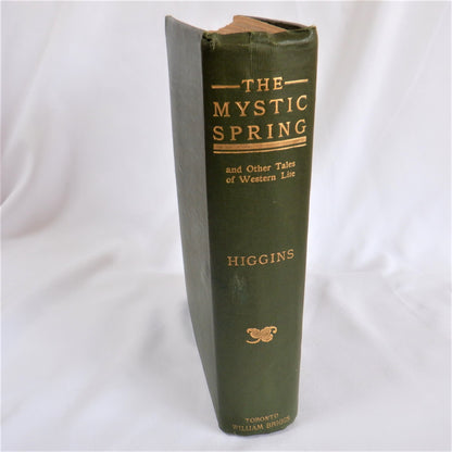 THE MYSTIC SPRING, and Other Tales of Western Life, by D.W. Higgins (1904 1st Ed.)