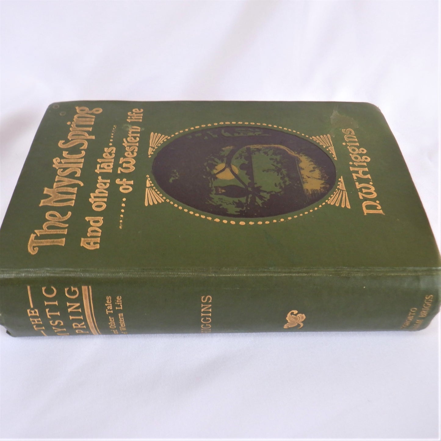 THE MYSTIC SPRING, and Other Tales of Western Life, by D.W. Higgins (1904 1st Ed.)