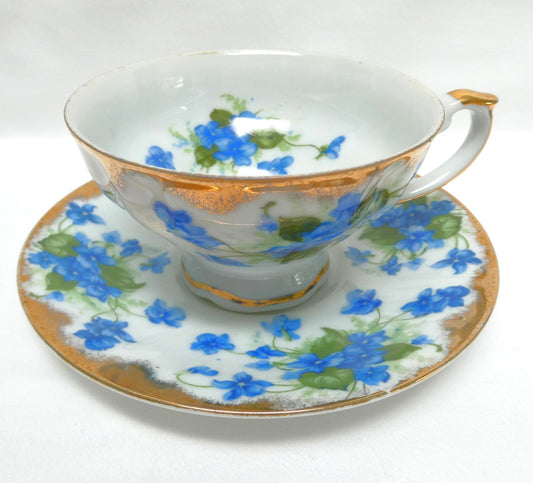 VINTAGE TEA CUP & SAUCER: Hand-Painted Blue Violet Theme by Castle China of Japan