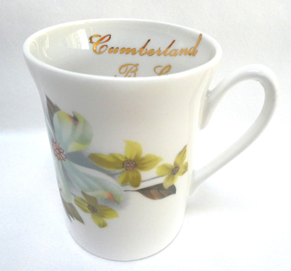 Vintage China Mug by Crown Prince of England: Featuring The Village of CUMBERLAND, B.C. with the B.C. Dogwood Pattern
