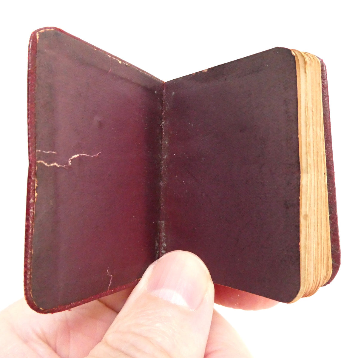 Antique c. 1900 'Pure Gold' Miniature Daily Text Bible Verse Booklet, Published by the Northern Publishing Office (Belfast) and S.W. Partridge & Co. (London)