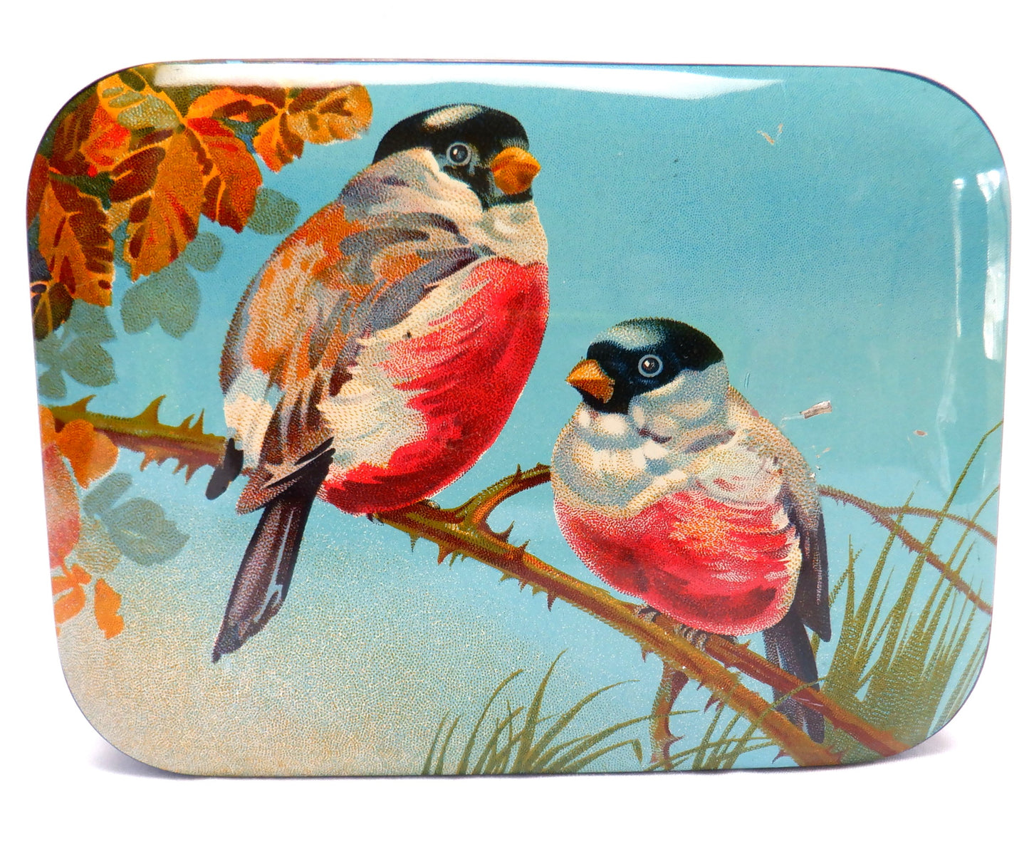 BLUE BIRD TOFFEE "RED BREASTED CHICKADEES" 1950's Vintage Tin