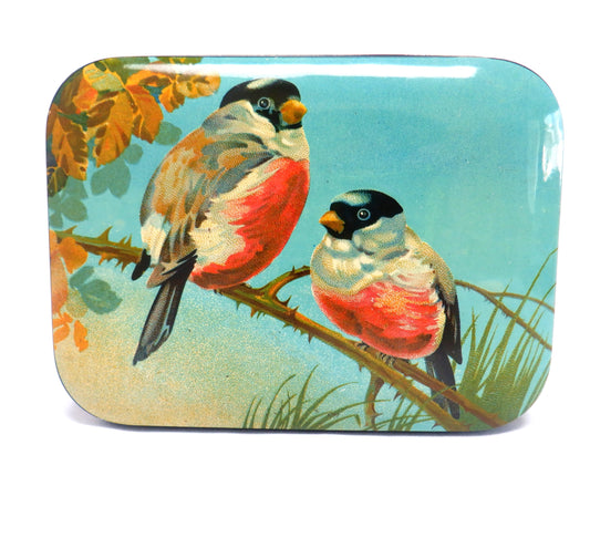 Antique Full-Colour Tin by Bluebird Toffee of England: 'TWO SONGBIRDS'