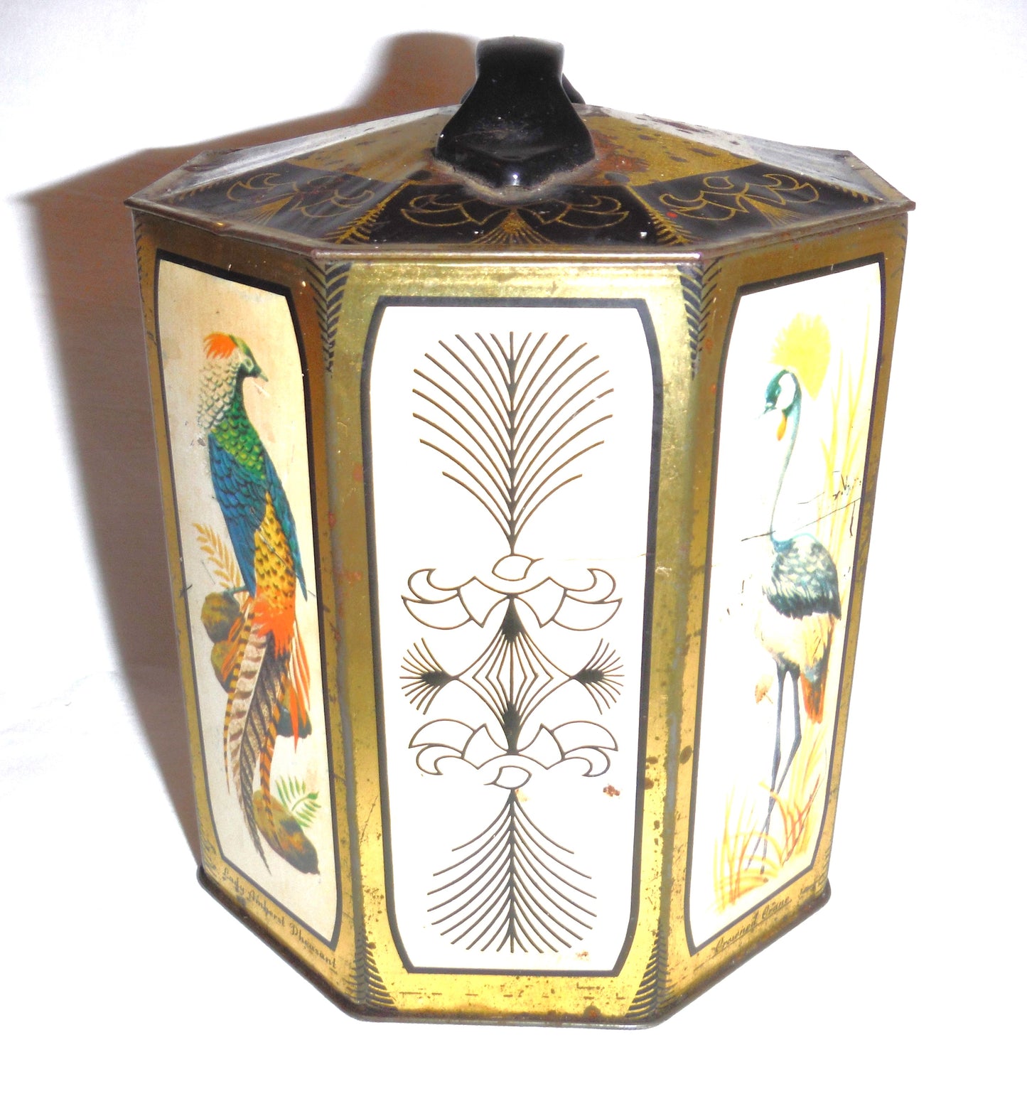 A Vintage Peek, Frean & Company Limited of London, England Tea Caddy: 'Rare Birds-Inspired Tea Caddy'