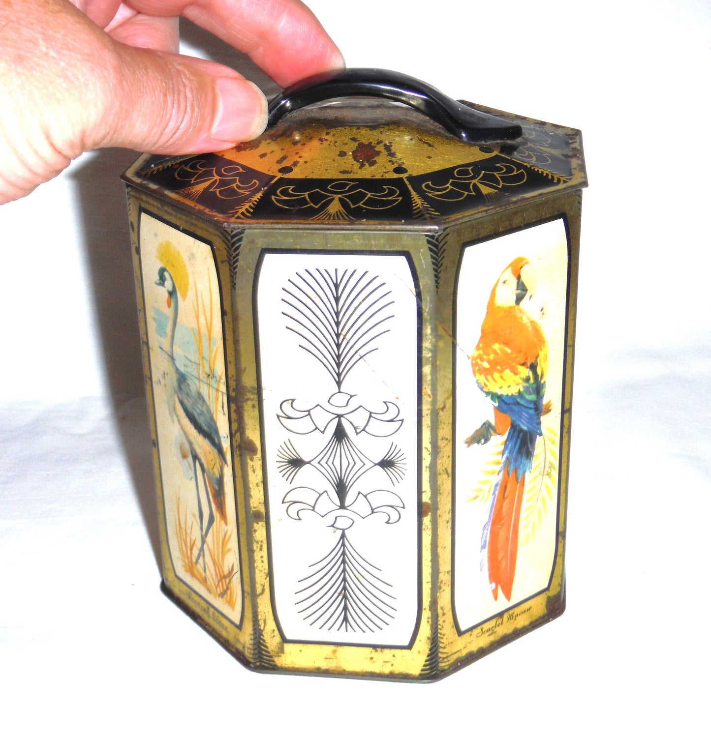 A Vintage Peek, Frean & Company Limited of London, England Tea Caddy: 'Rare Birds-Inspired Tea Caddy'