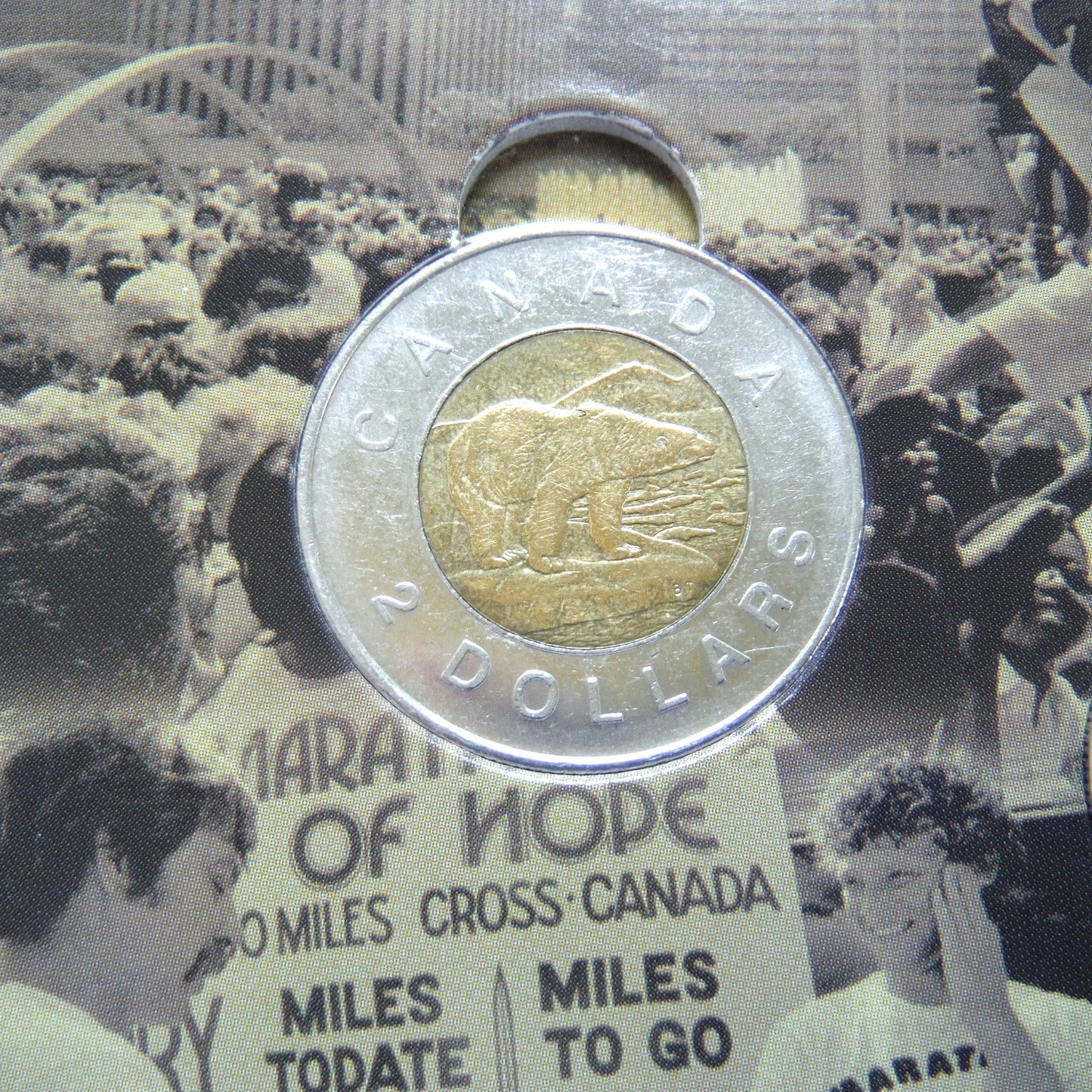 2005 TERRY FOX COIN COLLECTOR CARD, Bonus ALL SIX ORIGINAL COINS ARE INCLUDED!