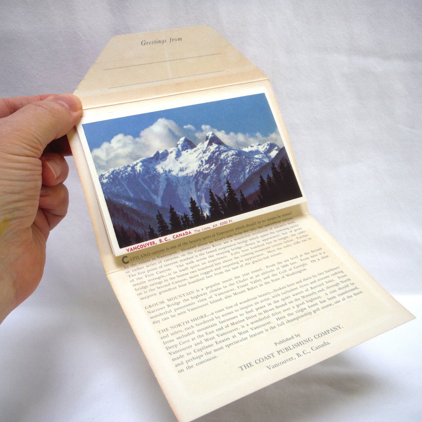 1950's RARE CANADIAN POSTCARD COLLECTION: The North Shore and Capilano Canyon, Vancouver, BC, Canada, with Three BONUS 1954 1-Cent QEII Stamps!