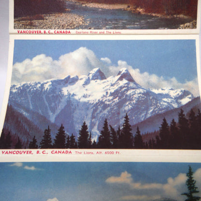 1950's RARE CANADIAN POSTCARD COLLECTION: The North Shore and Capilano Canyon, Vancouver, BC, Canada, with Three BONUS 1954 1-Cent QEII Stamps!