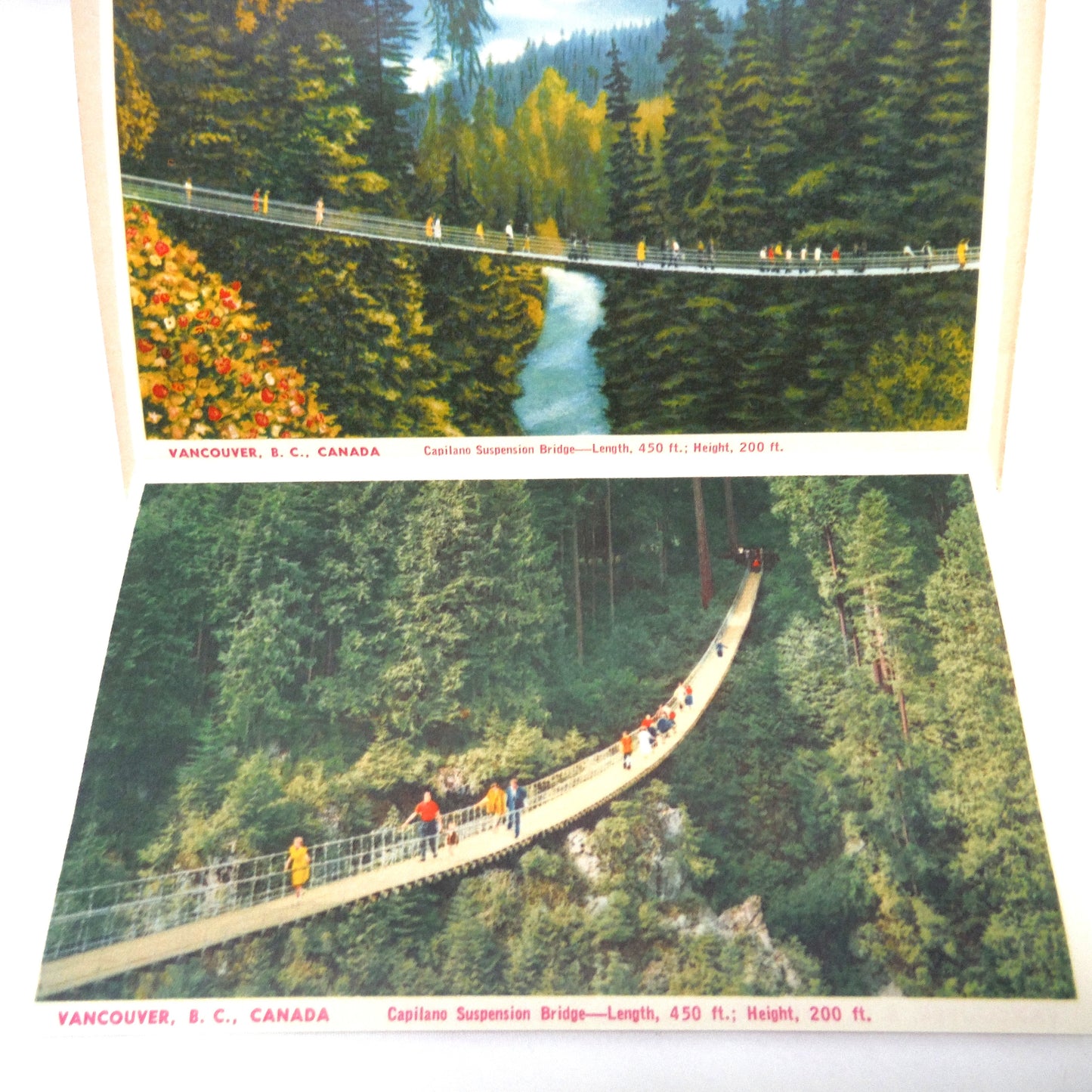 1950's RARE CANADIAN POSTCARD COLLECTION: The North Shore and Capilano Canyon, Vancouver, BC, Canada, with Three BONUS 1954 1-Cent QEII Stamps!