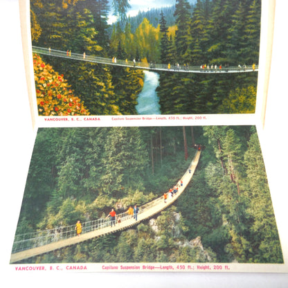 1950's RARE CANADIAN POSTCARD COLLECTION: The North Shore and Capilano Canyon, Vancouver, BC, Canada, with Three BONUS 1954 1-Cent QEII Stamps!