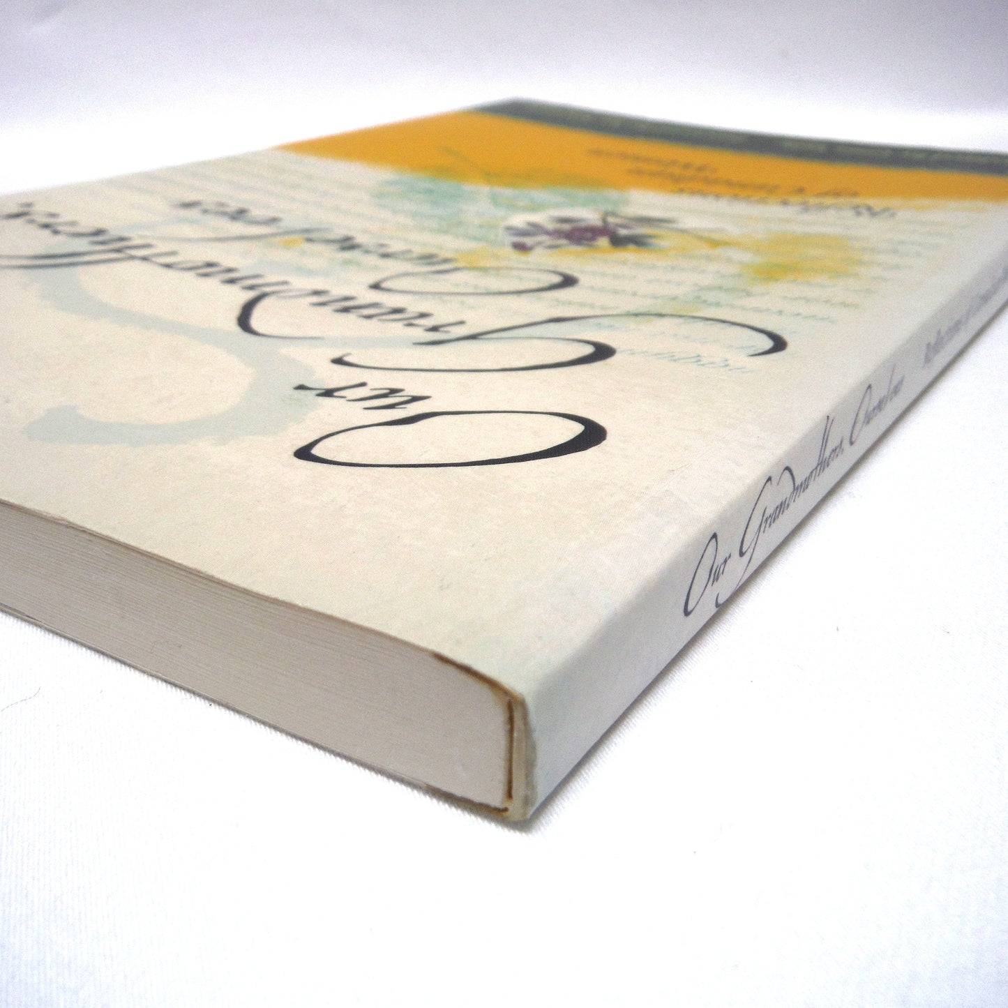 OUR GRANDMOTHERS, OURSELVES, Reflections of Canadian Women, Edited by Gina Valle (1999 1st Ed.)