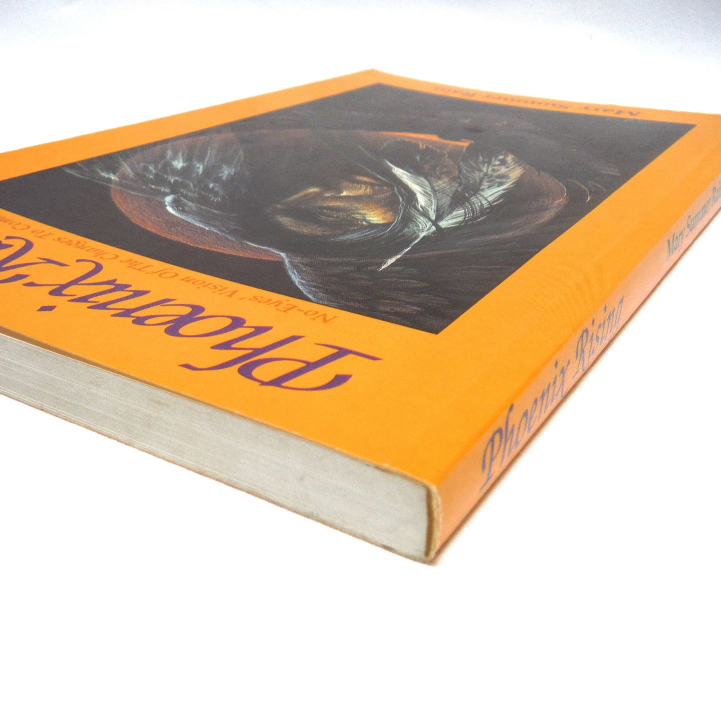 PHOENIX RISING, No-Eyes' Vision Of the Changes To Come, by Mary Summer Rain (1993 1st Ed.)