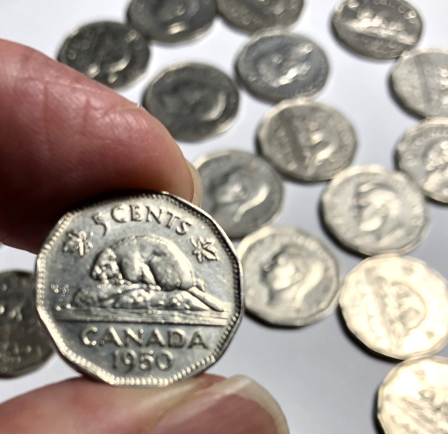 1950 Canadian 5-Cent King George VI NICKELS in Circulated Good Condition, EACH