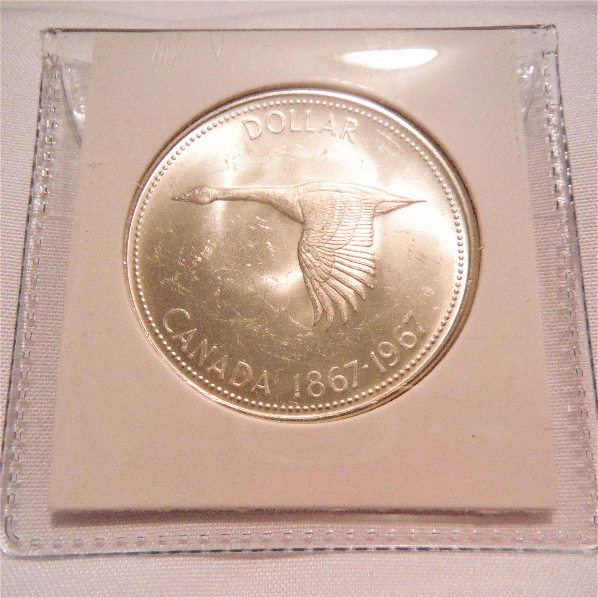 Royal Canadian Mint 80% Silver Dollar Coin $1