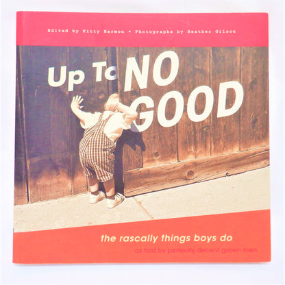 UP TO NO GOOD, The Rascally Things Boys Do, as Told by Perfectly Decent Grown Men, by Kitty Harmon, 2005