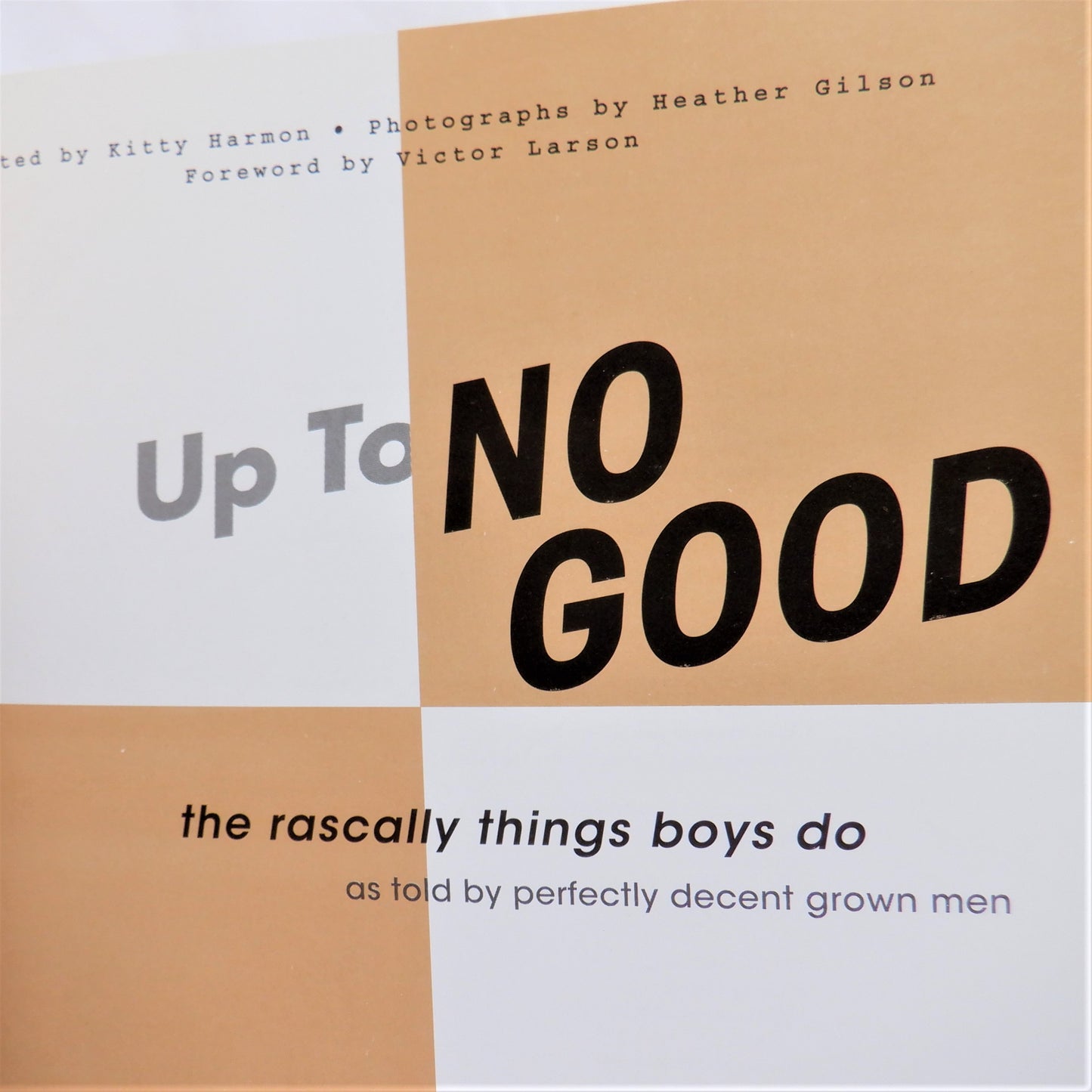 UP TO NO GOOD, The Rascally Things Boys Do, as Told by Perfectly Decent Grown Men, by Kitty Harmon, 2005