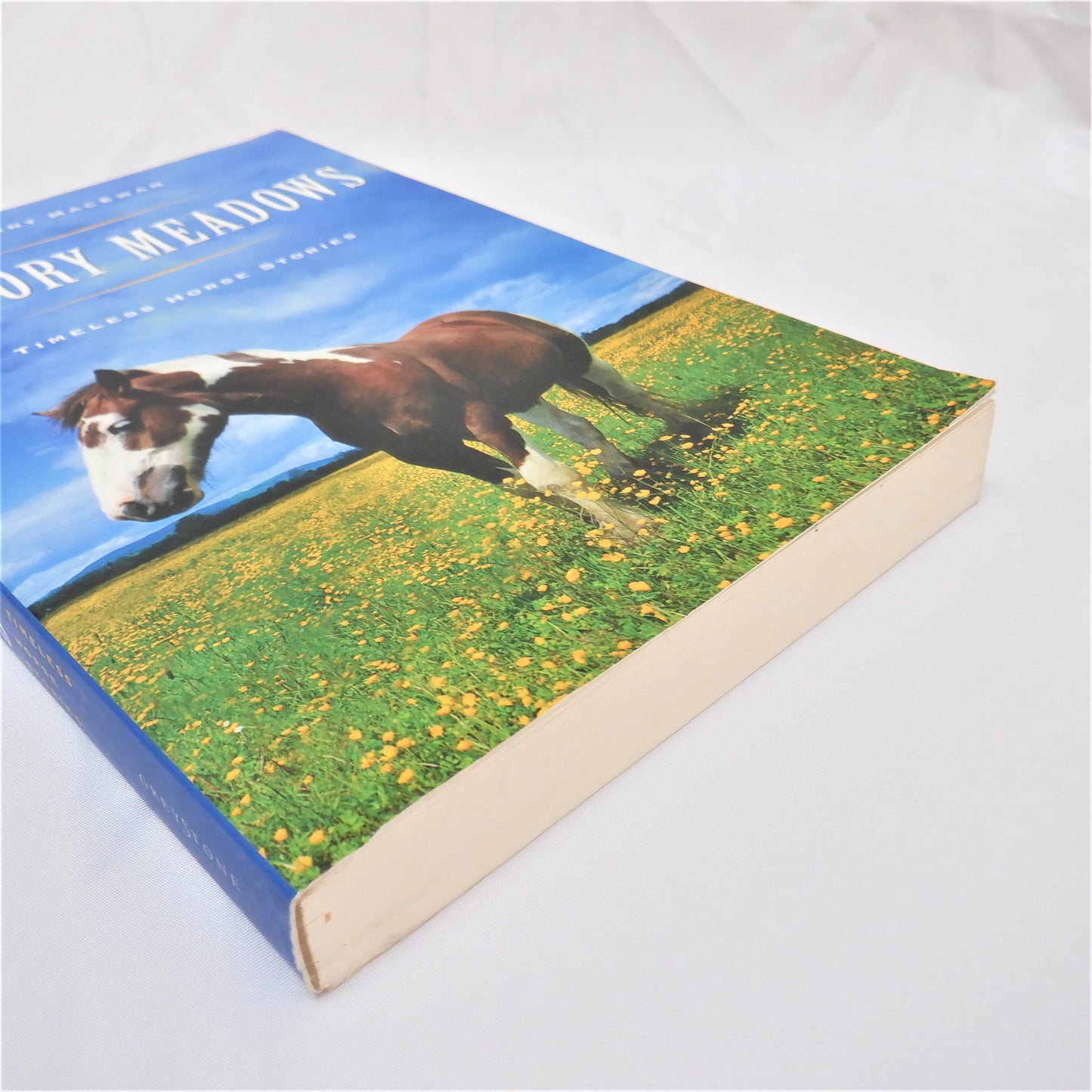 MEMORY MEADOWS, TIMELESS HORSE STORIES, by Grant MacEwan, 1997