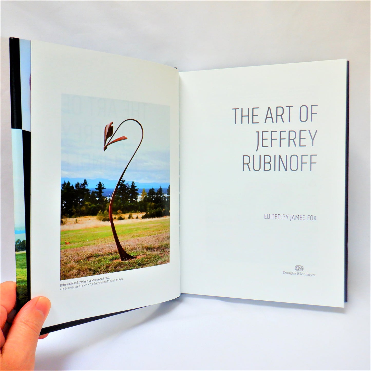 THE ART OF JEFFREY RUBINOFF, Edited by James Fox (2016 1st Ed.)