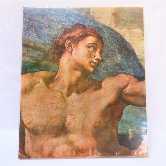 Michelangelo: Painter, Sculptor, Architect, in 104 Full-Coloured Plates, Book by Loretta Santini (1971 1st Ed.)