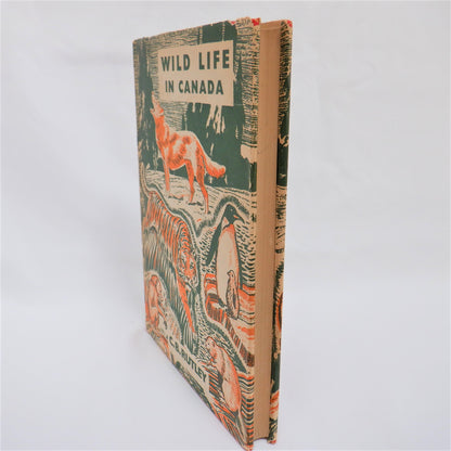 WILD LIFE IN CANADA, A Young Reader Adventure by C.B. Rutley (1950 1st Ed.)