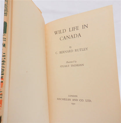 WILD LIFE IN CANADA, A Young Reader Adventure by C.B. Rutley (1950 1st Ed.)