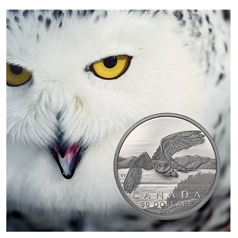 2014 $50 For $50 CANADA SNOWY OWL Pure Silver Coin w/COA Card